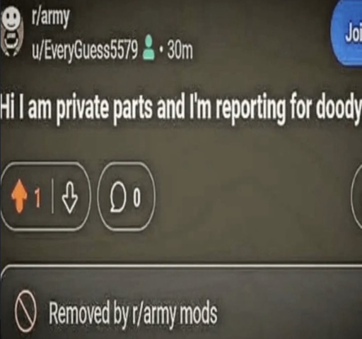 "Hi I am private parts reporting for doody" posted to r/army. message below it says "removed by r/army mods"
