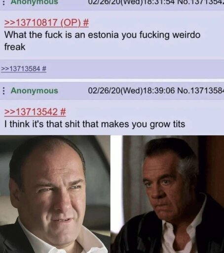 4chan screenshot: "What the fuck is an estonia you fucking weirdo freak?" "I think it's that shit that makes you grow tits" accompanied by pictures of Tony Soprano and Pauli Walnuts