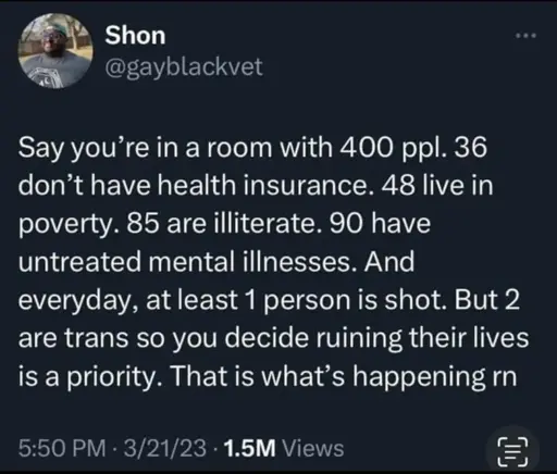 Say you're in a room with 400 ppl. 36 don't have health insurance. 48 live in poverty. 85 are illiterate. 90 have untreated mental illnesses. And everyday, at least 1 person is shot. But 2 are trans so you decide ruining their lives is a priority. That is what's happening rn 