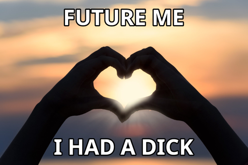 Picture shows two hands forming a heart with the sunset in the background. Captioned with "Future me - I had a dick"
