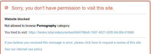 an image from my work internet filtering policy stating Tankie Tube is blocked under the "pornography" category