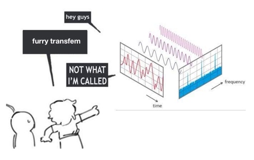 meme with the following dialogue: Fourier Transform: "Hey guys". Crowd: "furry transfem". Fourier Transform: "NOT WAT I'M CALLED"