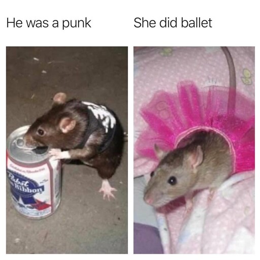 yeah, rats rule