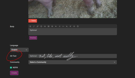 Screenshot of "Create Post" page for hexbear. Alt Text has been circled in red. The submission feild says "Optional" in print text, ammended with cursive reading "- But, like, not really..." The bottom portion of the PPB image can be seen in the upload preview..