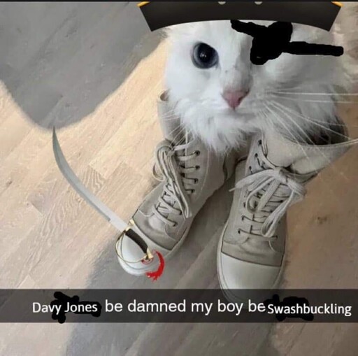 edited picture of a cat. the cat has stepped into some converse shoes, but the edit has given him an eyepatch, a pirate hat, and a sword. caption: "davy jones be damned by boy be swashbuckling"