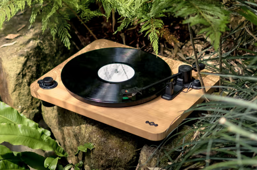 A photograph of a wooden turntable with a black record running on it. The device is sitting on a rock in the forest.